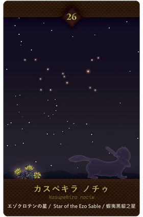 nociw◆card 26